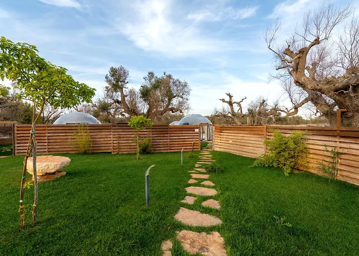 Folia Natural Experience Camping