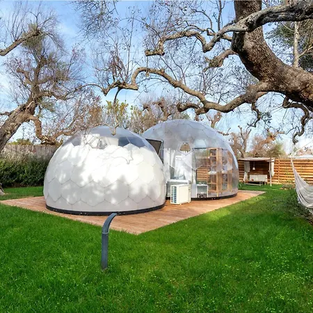 Folia Natural Experience Κάμπινγκ *